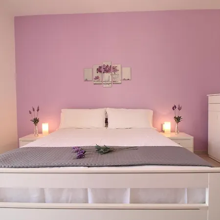 Violet House Appartement